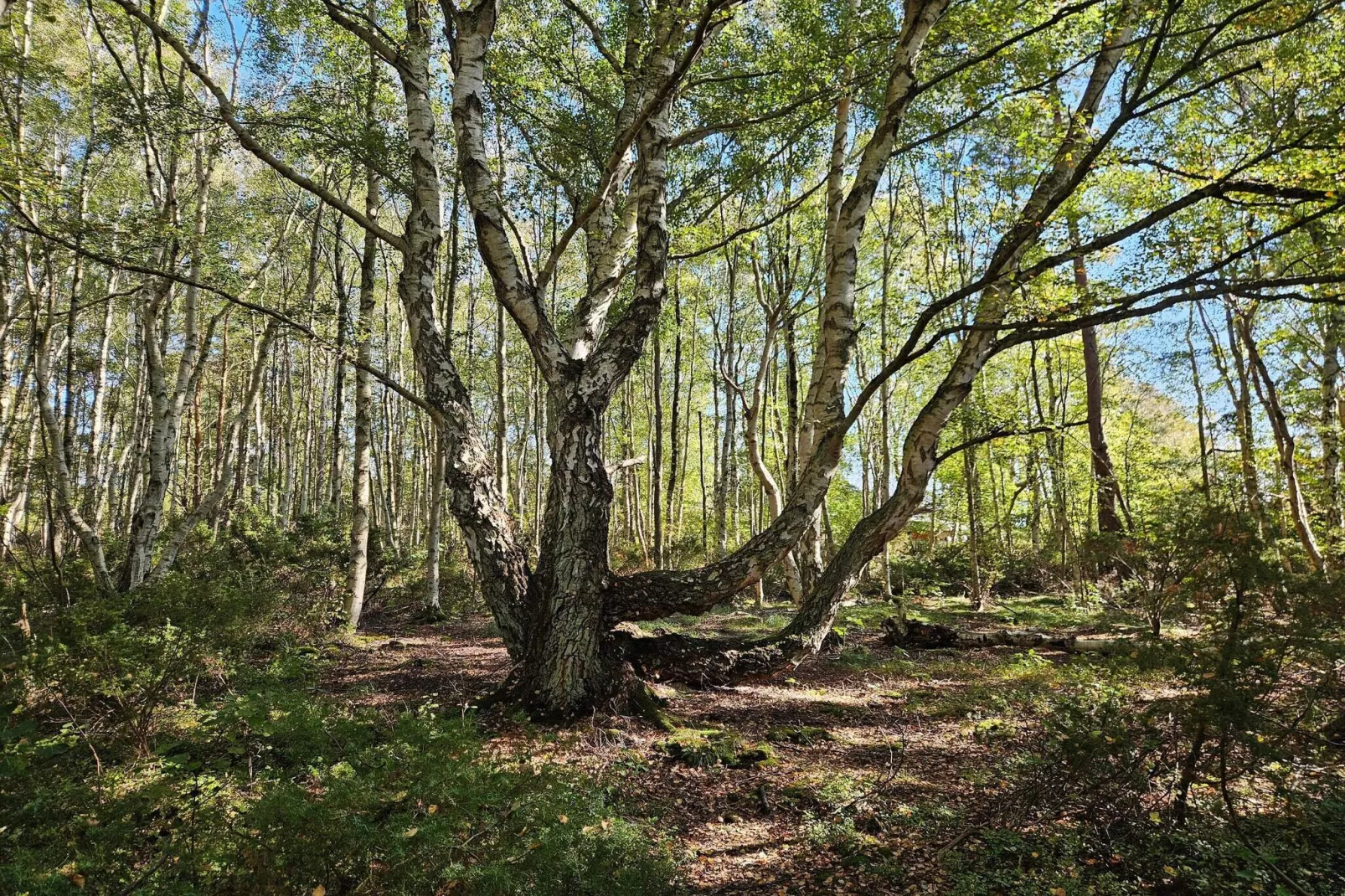 4 sterren vakantie huis in Bohus-Niet-getagd