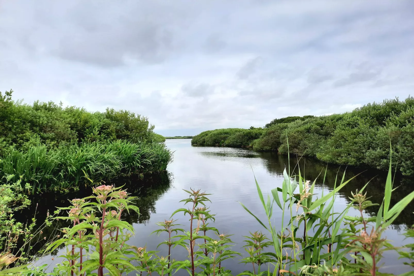 Tipitent de Jutter-Gebieden zomer 5km