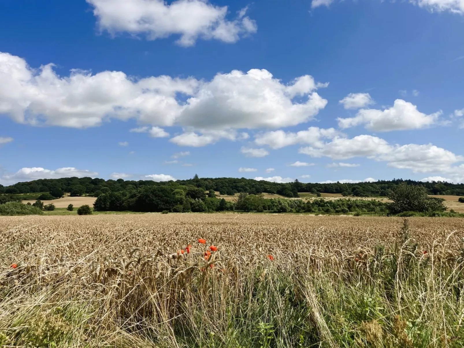 "Thessa" - 4km from the sea