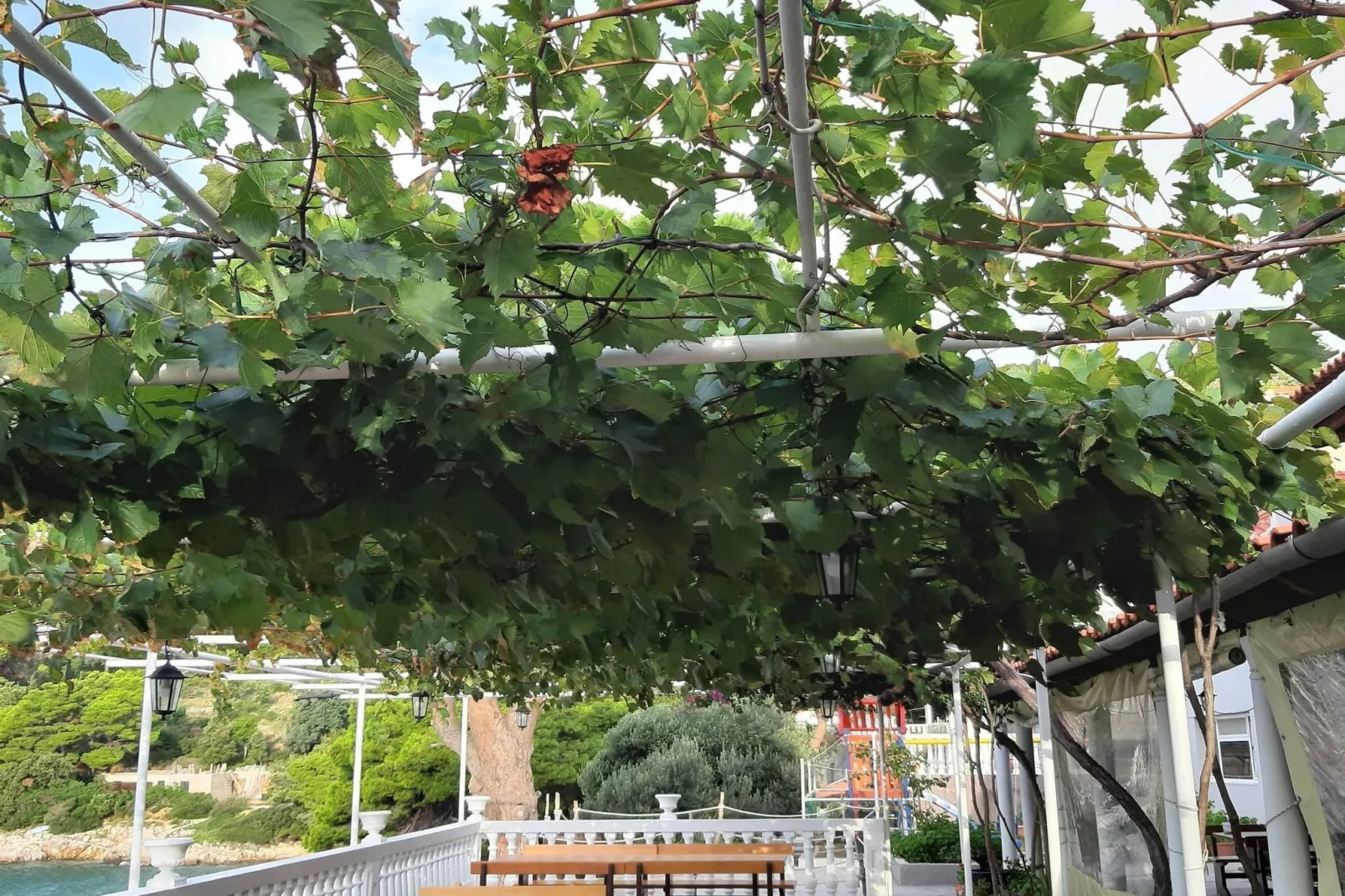 Apartments Franka Saplunara-Triple Room with Terrace and Sea View  No1-Sfeer