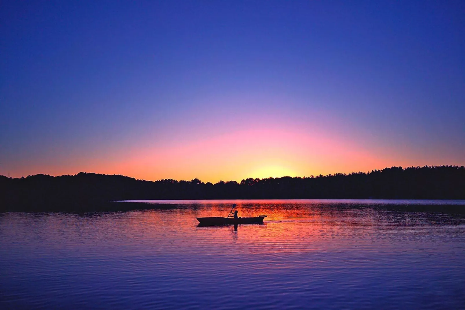 Eisvogel Classic 303-Gebieden zomer 1km