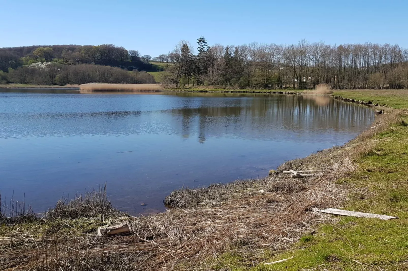 4 Personen vakantie huis in Haderslev-Waterzicht