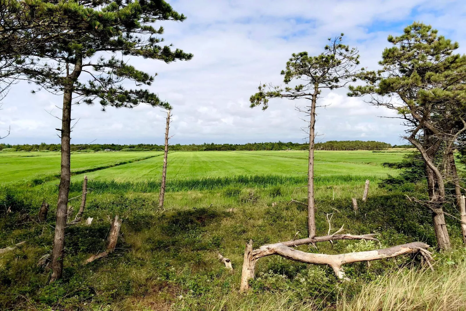 5 sterren vakantie huis in Rømø-Niet-getagd