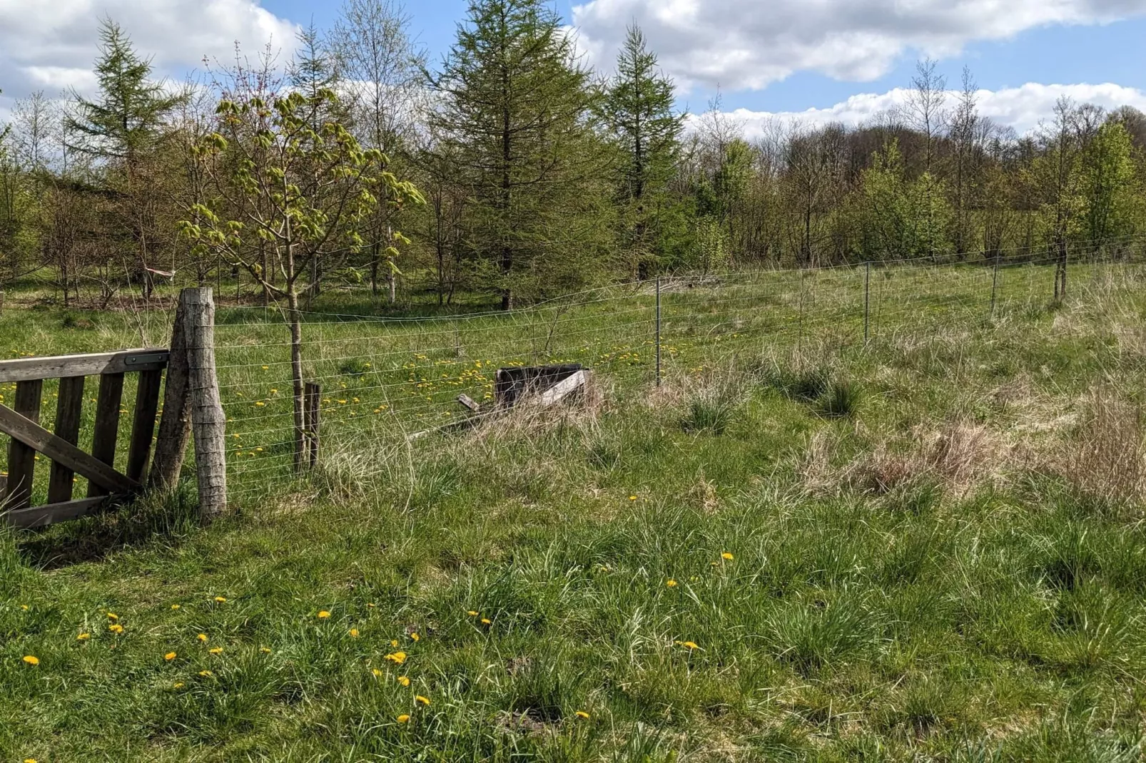 6 Personen vakantie huis in Give-By Traum-Niet-getagd