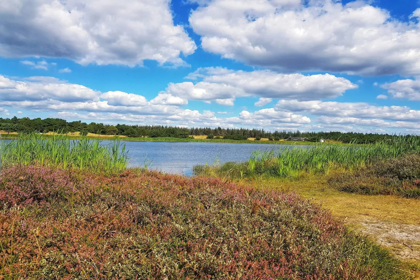 5 sterren vakantie huis in Vejers Strand-Waterzicht