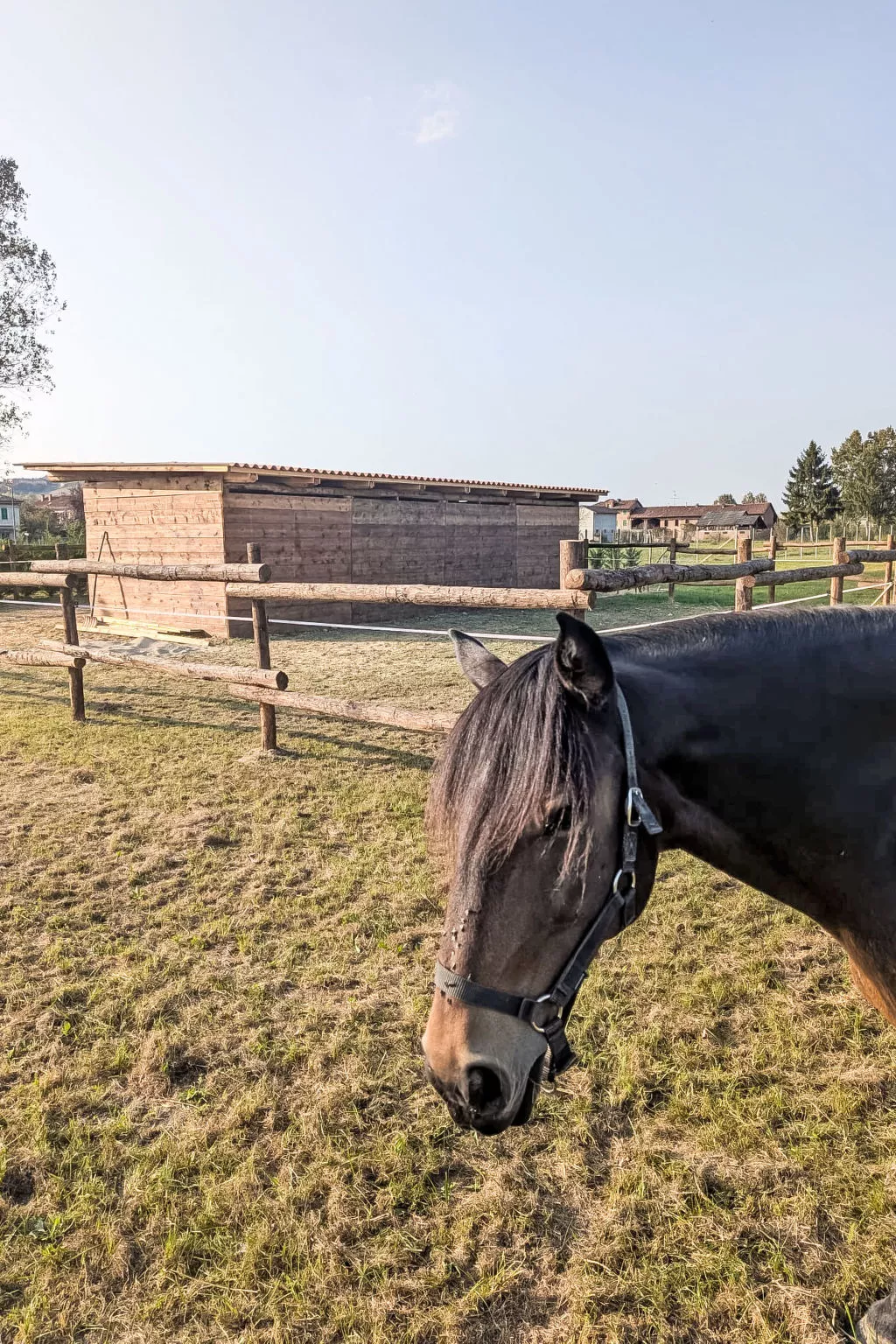 Tenuta Beatrice-Binnen