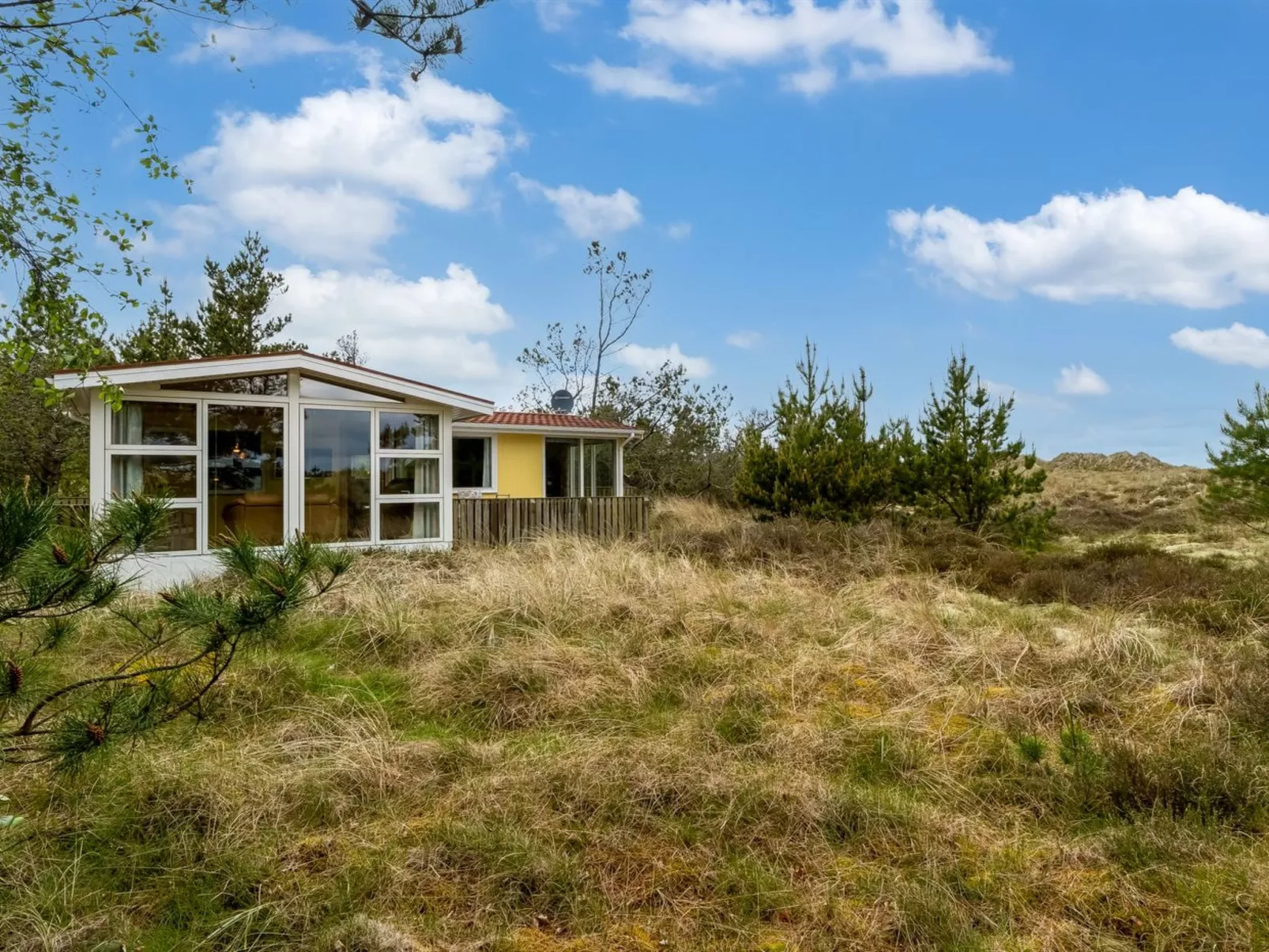 "Kimi" - 75m from the sea