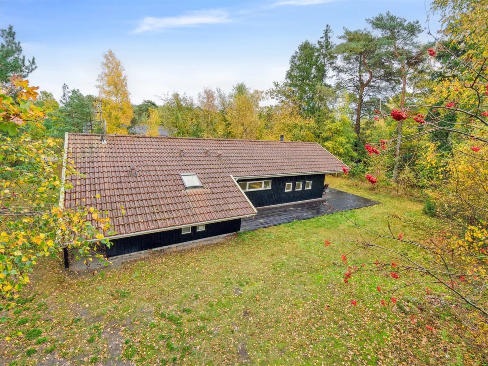 "Aimo" - 300m from the sea