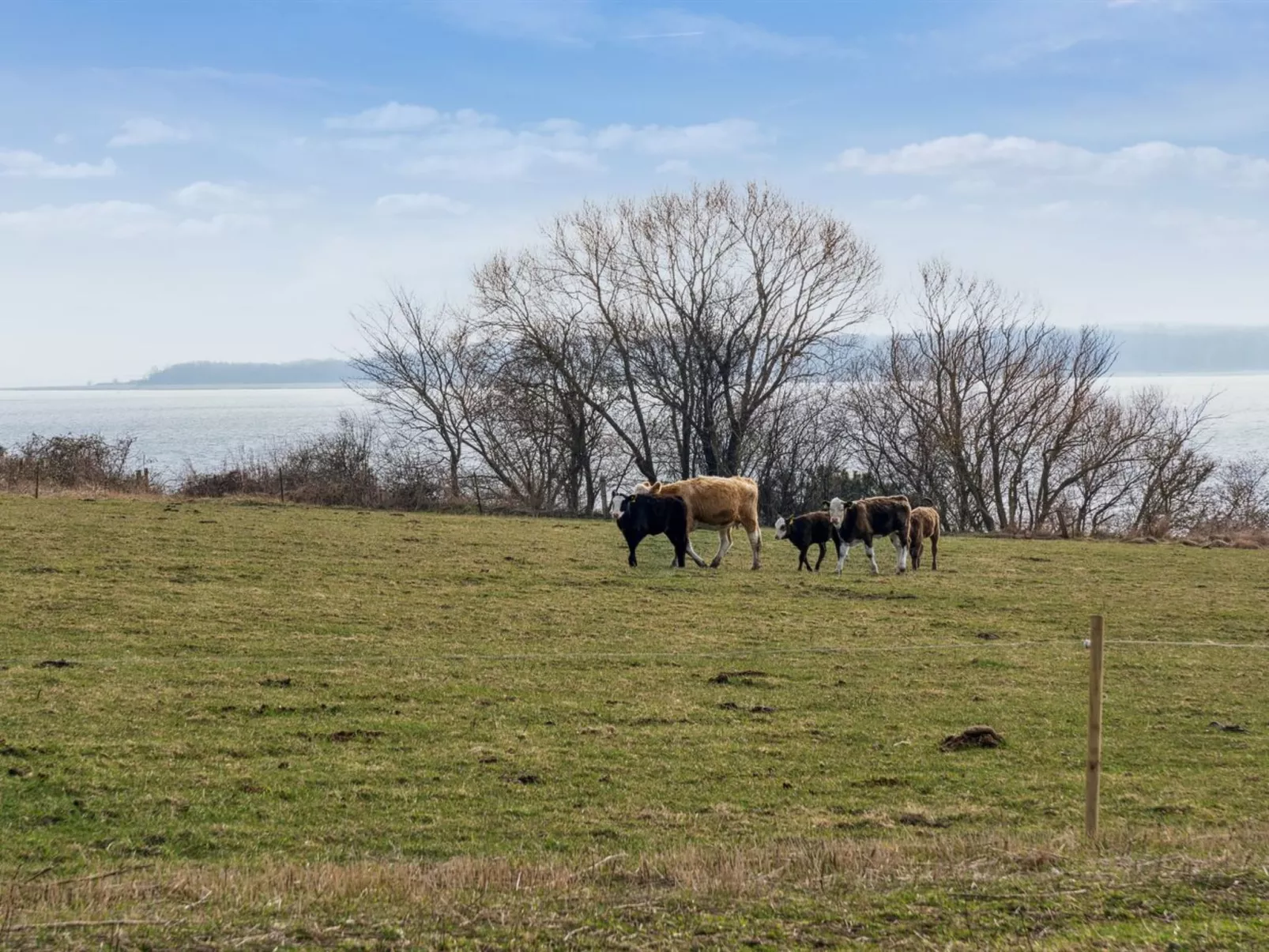 "Salka" - 200m to the fjord