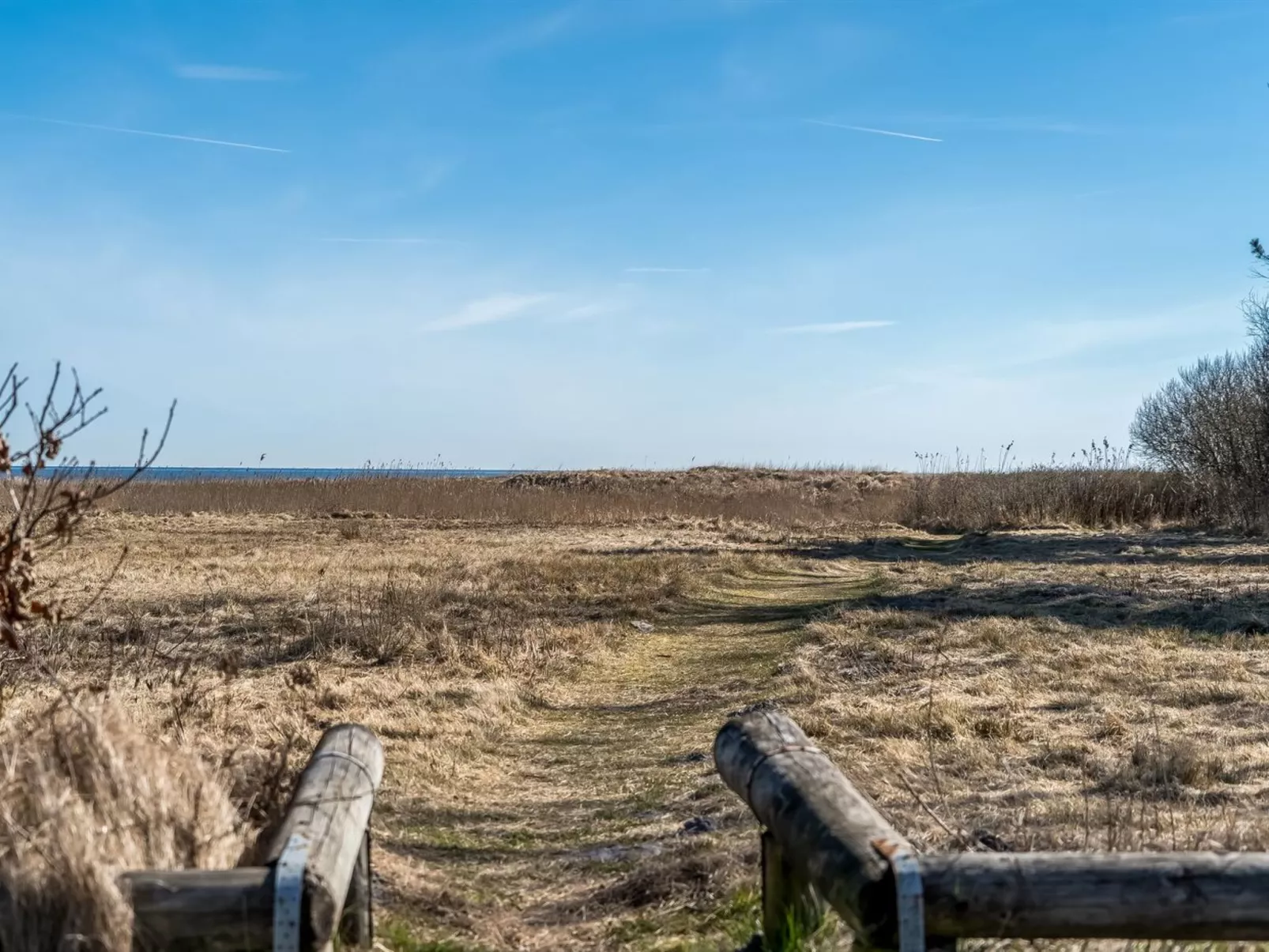 "Jaike" -  from the sea