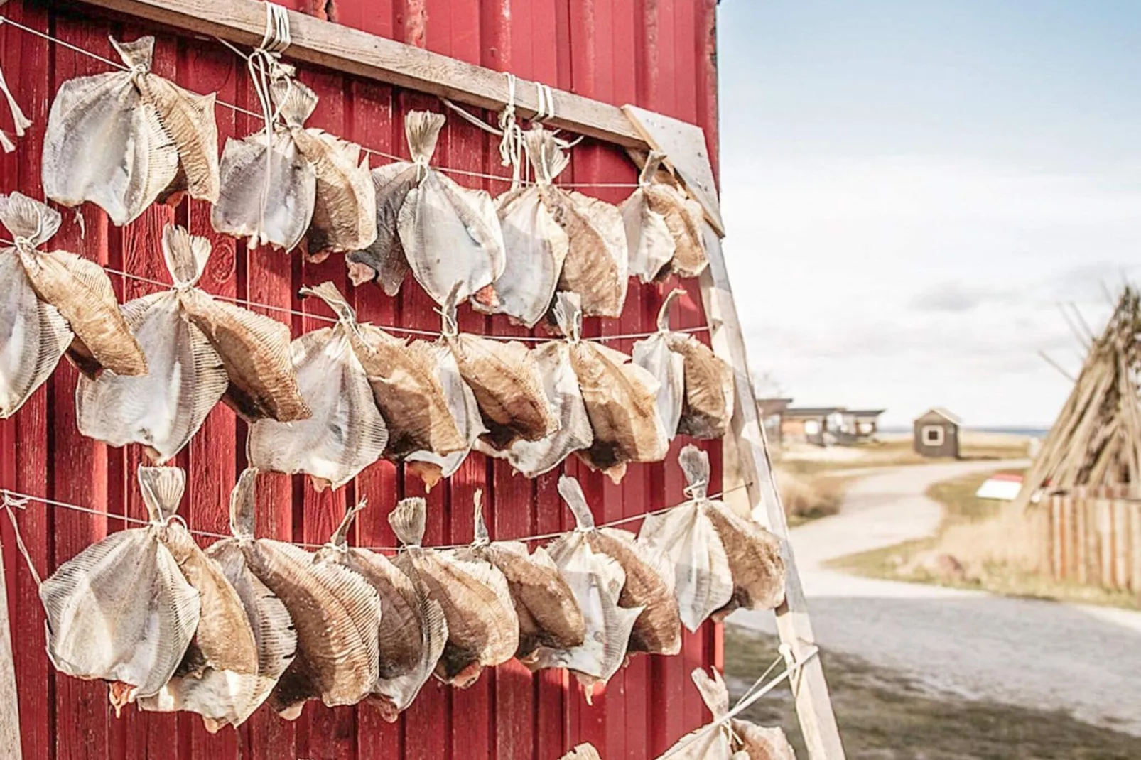 7 persoons vakantie huis in Hvide Sande-By Traum-Niet-getagd