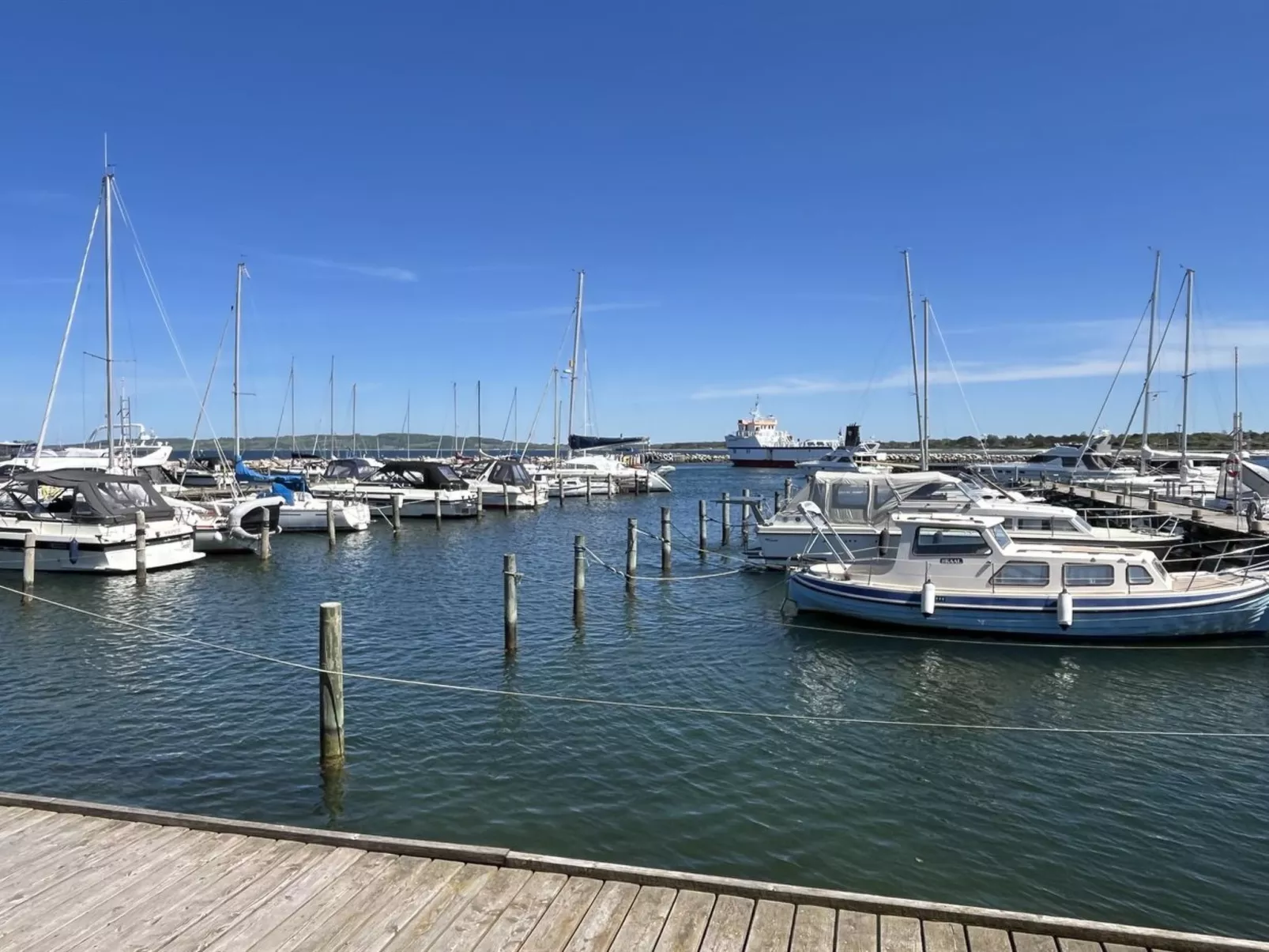 "Dufa" - 200m to the fjord