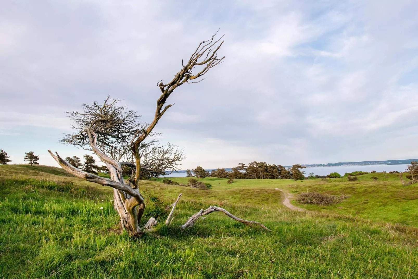 4 Personen vakantie huis in Knebel-Niet-getagd