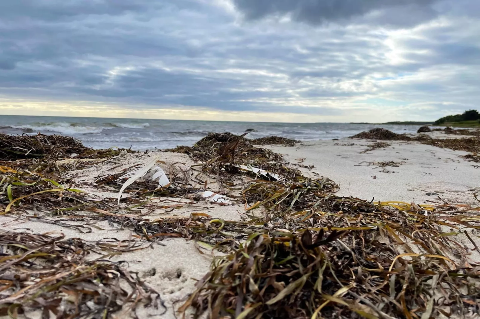 Gezellig zomerhuis nabij Ore Strand-Waterzicht