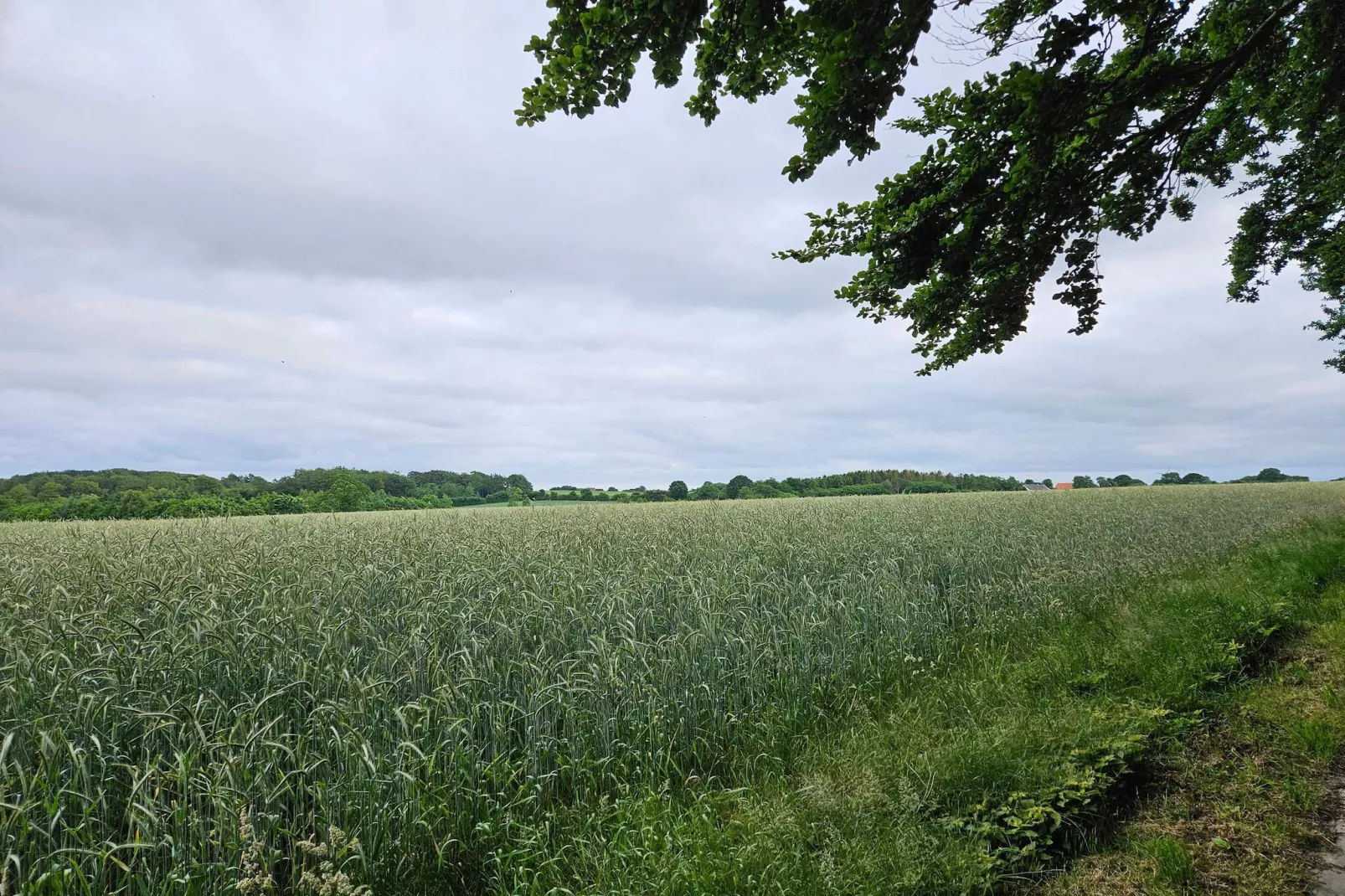 6 Personen vakantie huis in Haderslev-Niet-getagd
