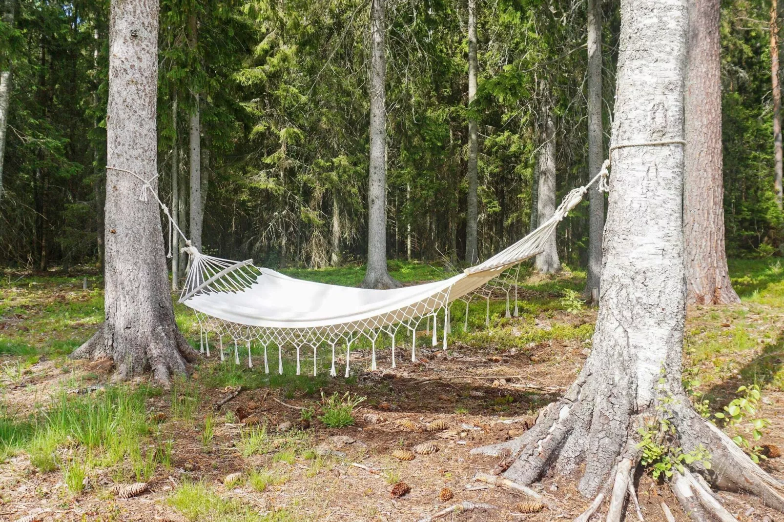 5 persoons vakantie huis in GRISSLEHAMN-By Traum-Buitenlucht