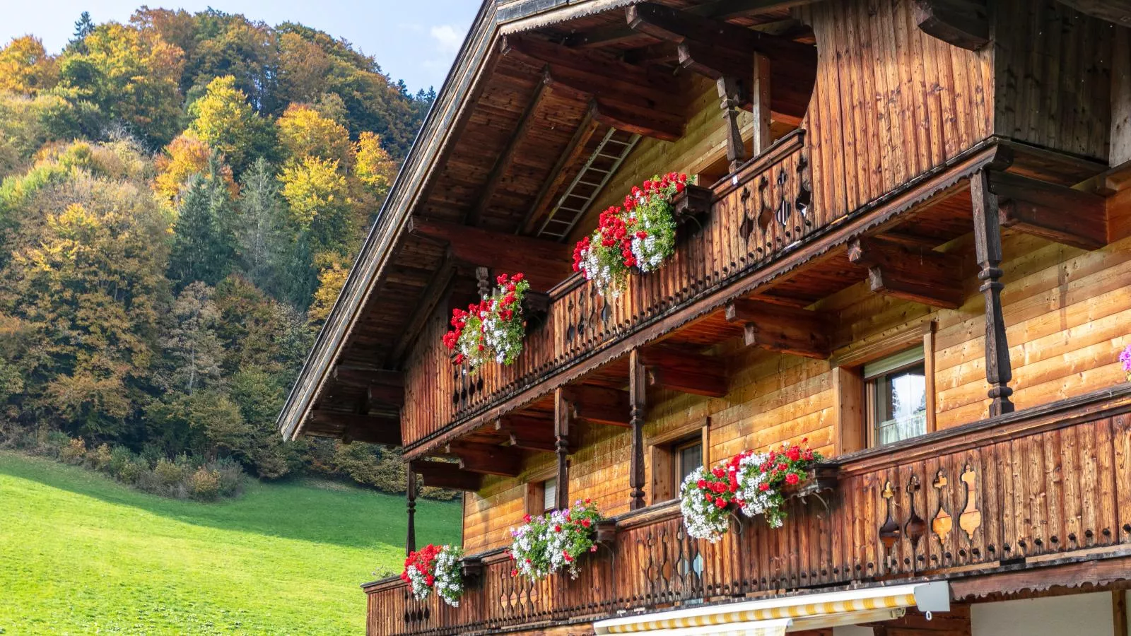 Tiroler Bergtraum Top 1