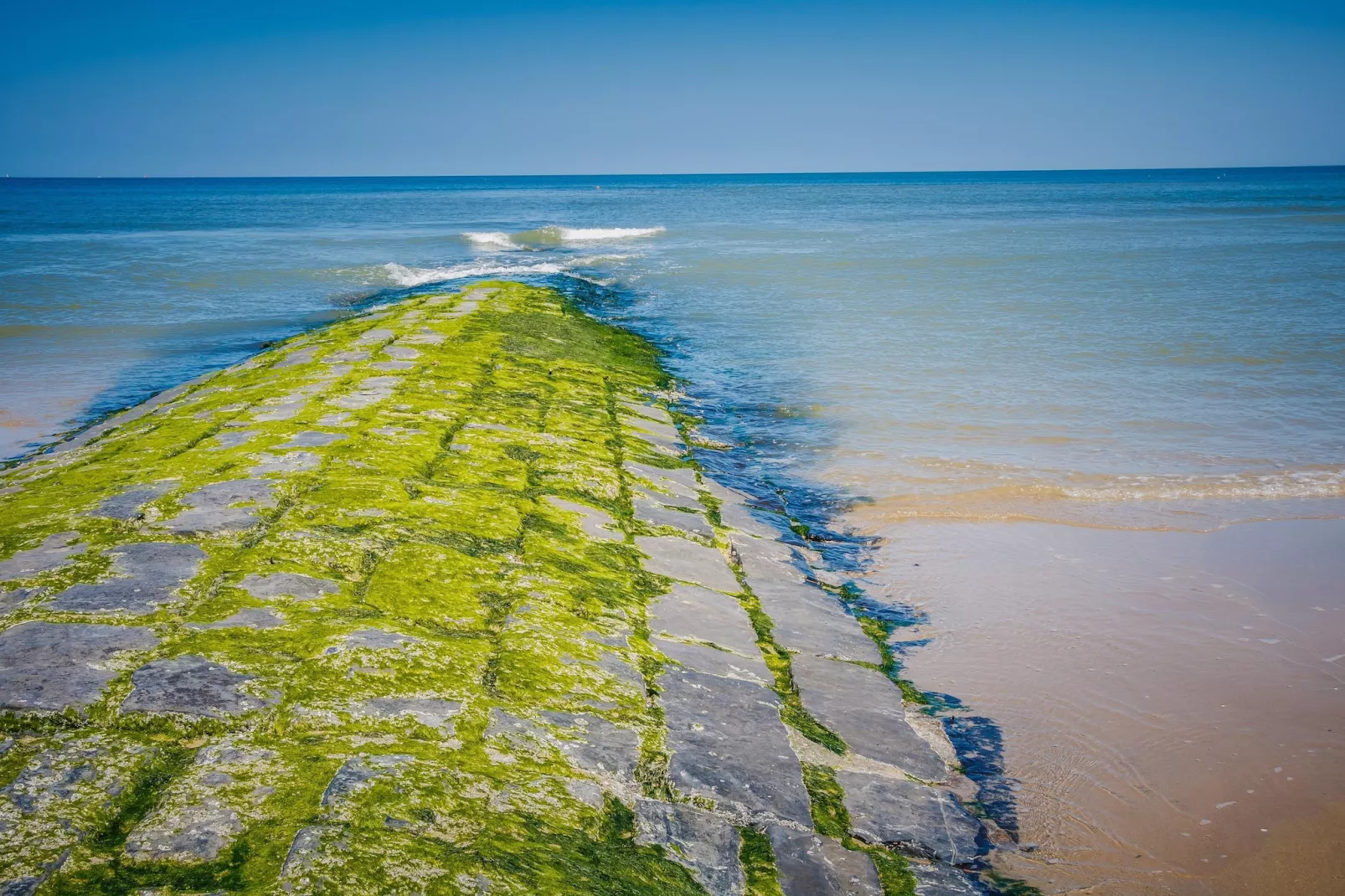 De Rede-Gebieden zomer 5km