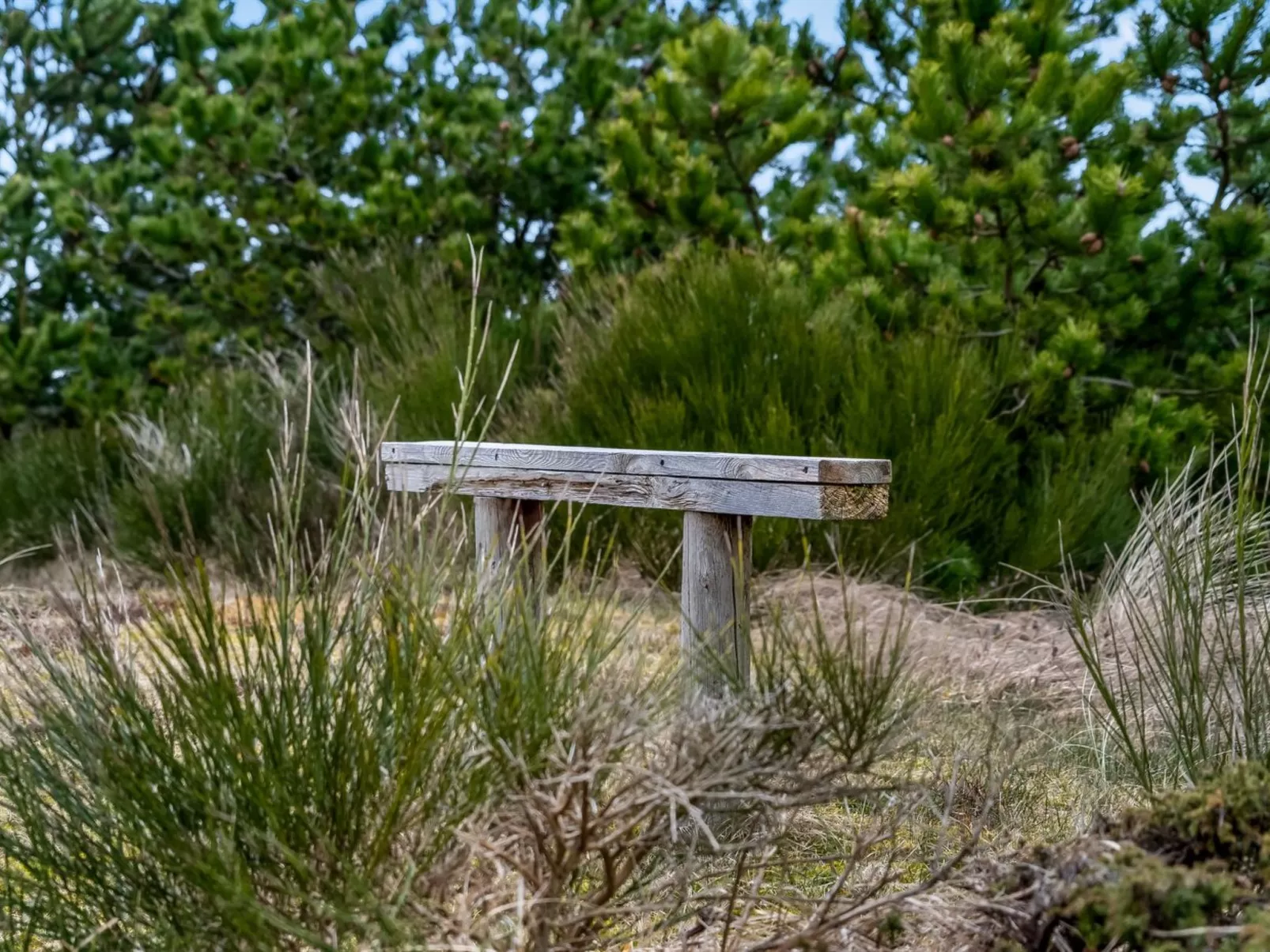 "Godja" - 1km from the sea