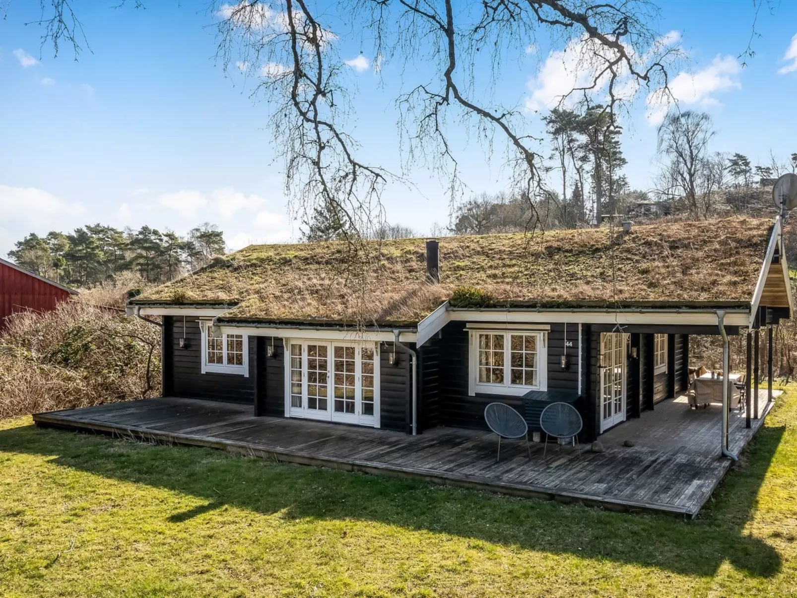 "Franka" -  from the sea