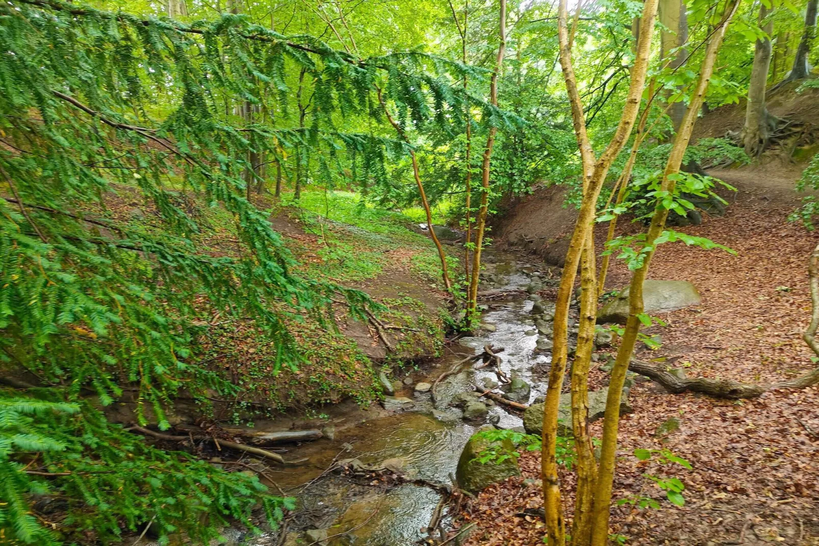 Mooi huisje vlakbij het strand-Niet-getagd