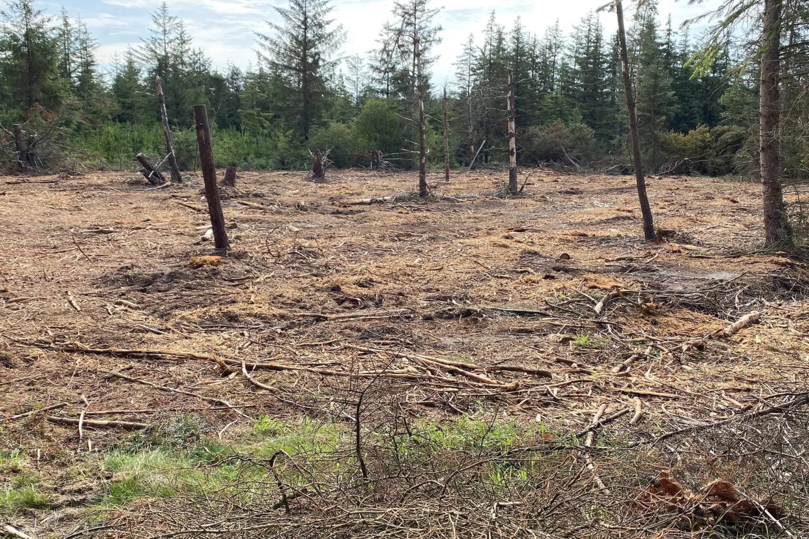 5 Personen vakantie huis in Snedsted-Niet-getagd