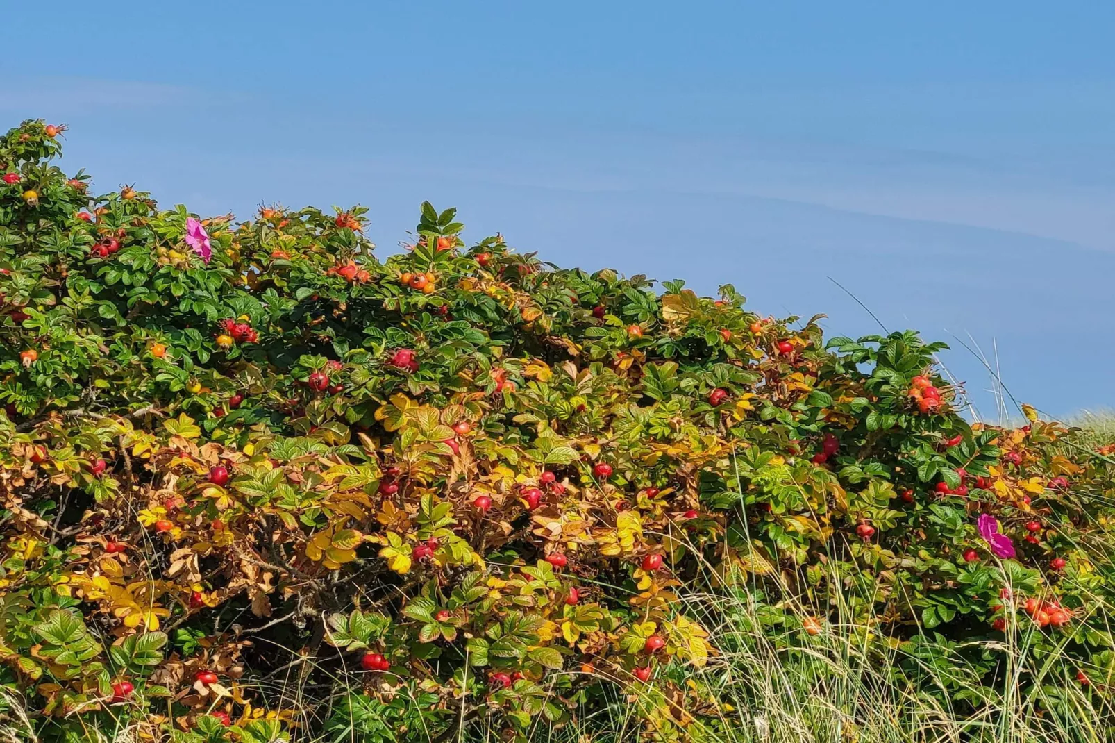 6 Personen vakantie huis in Sæby-Niet-getagd