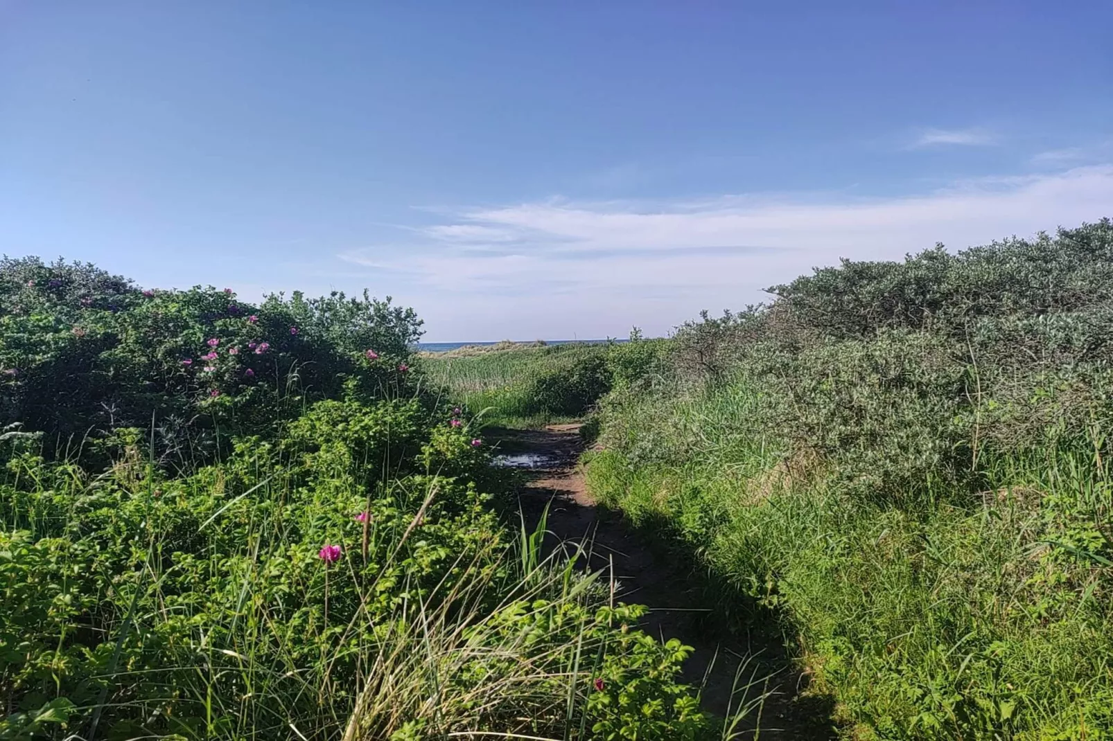 5 sterren vakantie huis in Løkken-Niet-getagd