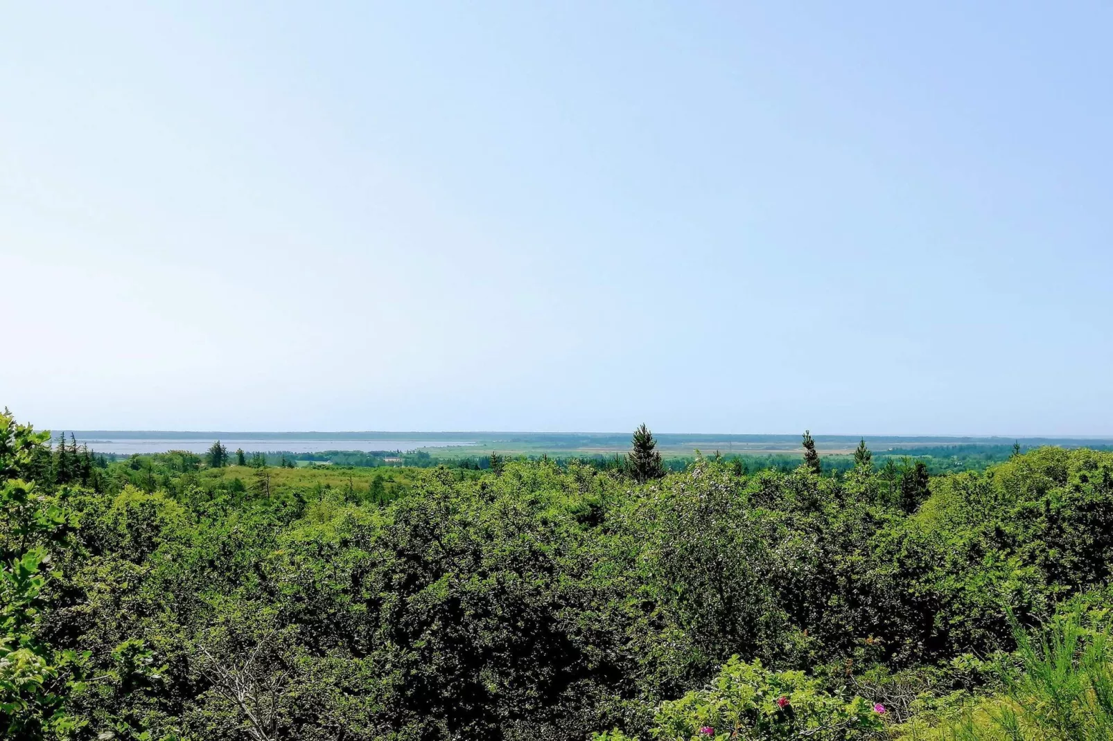 5-sterren vakantiehuis in Henne Beach-Niet-getagd