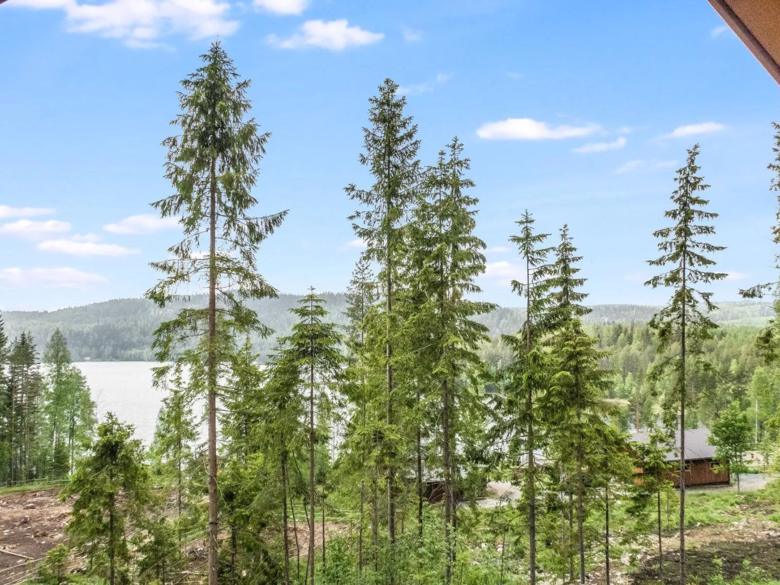 Kolin kangastus kielo 3