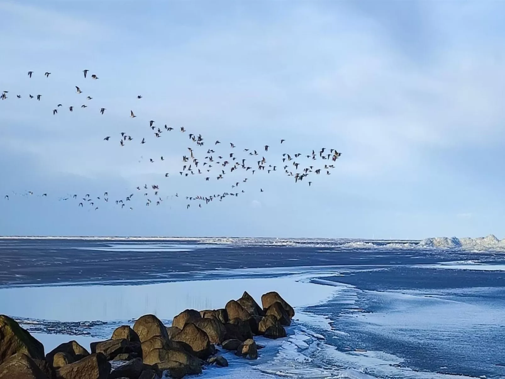 "Gertrud" - 950m to the fjord