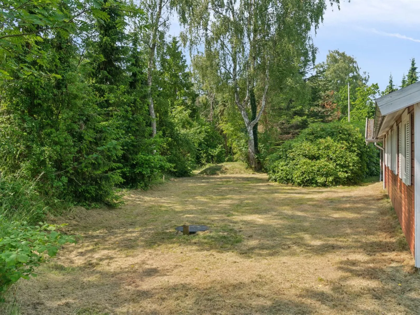 "Rieke" -  from the sea