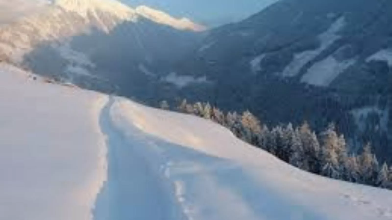 Baier-Gebied winter 20km