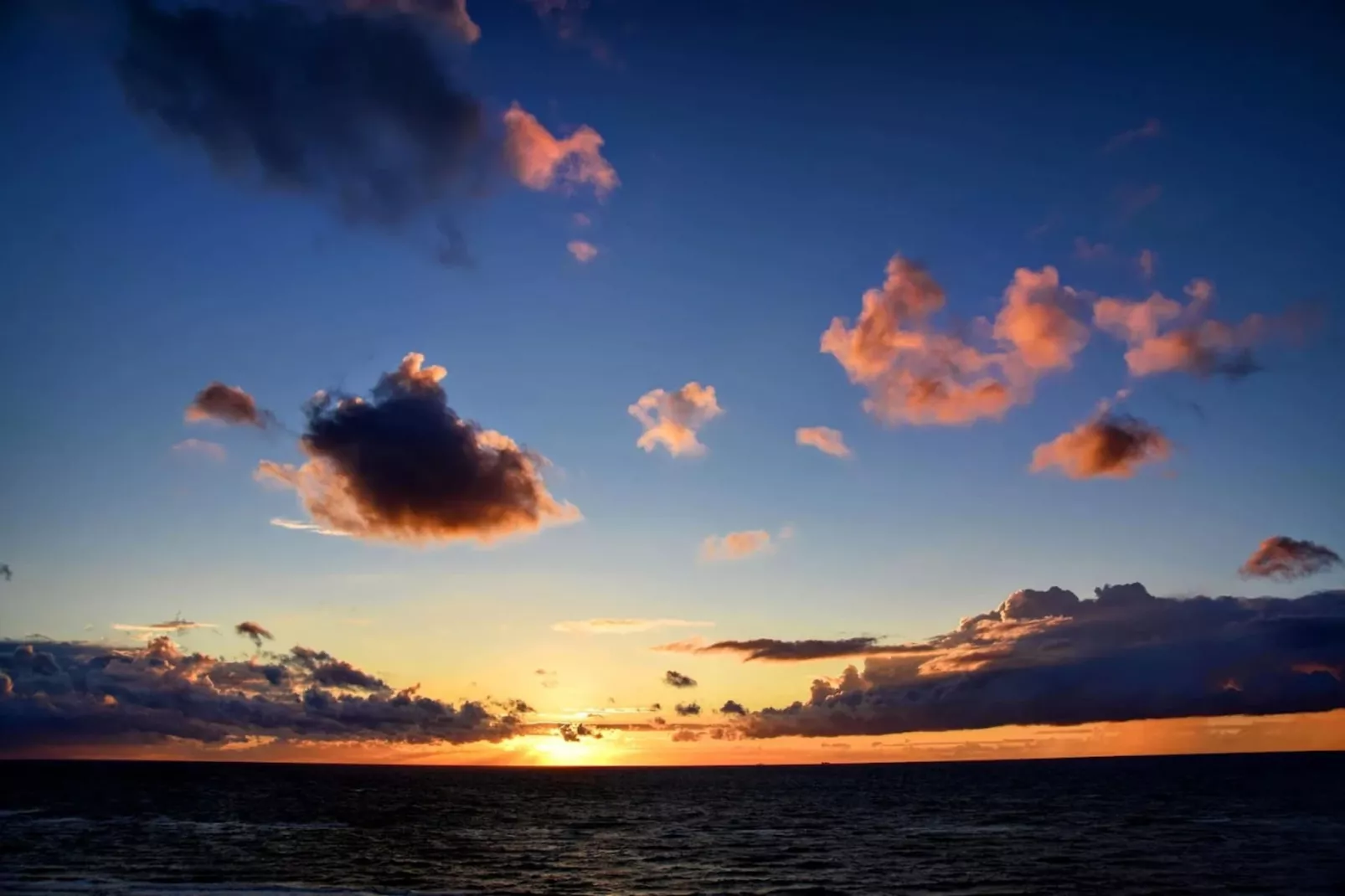 Haus Sonne - Garten Fewo - Strandhotel Fischland-Gebieden zomer 5km