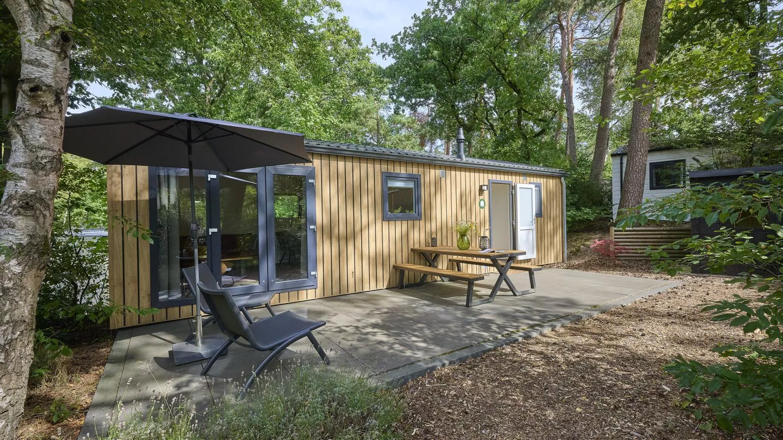 Steltloper-Buitenkant zomer