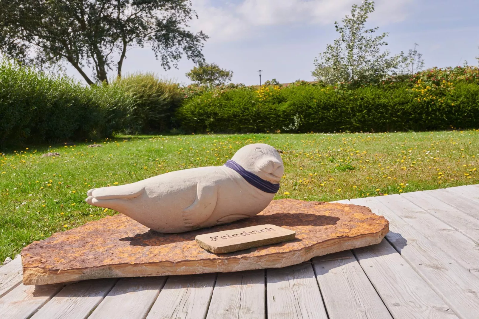 4 sterren vakantie huis in FRIEDRICHKOOG