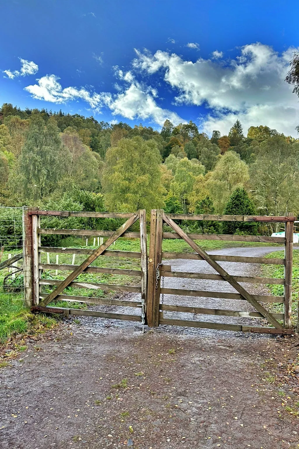 Cosagach Falls Cabin