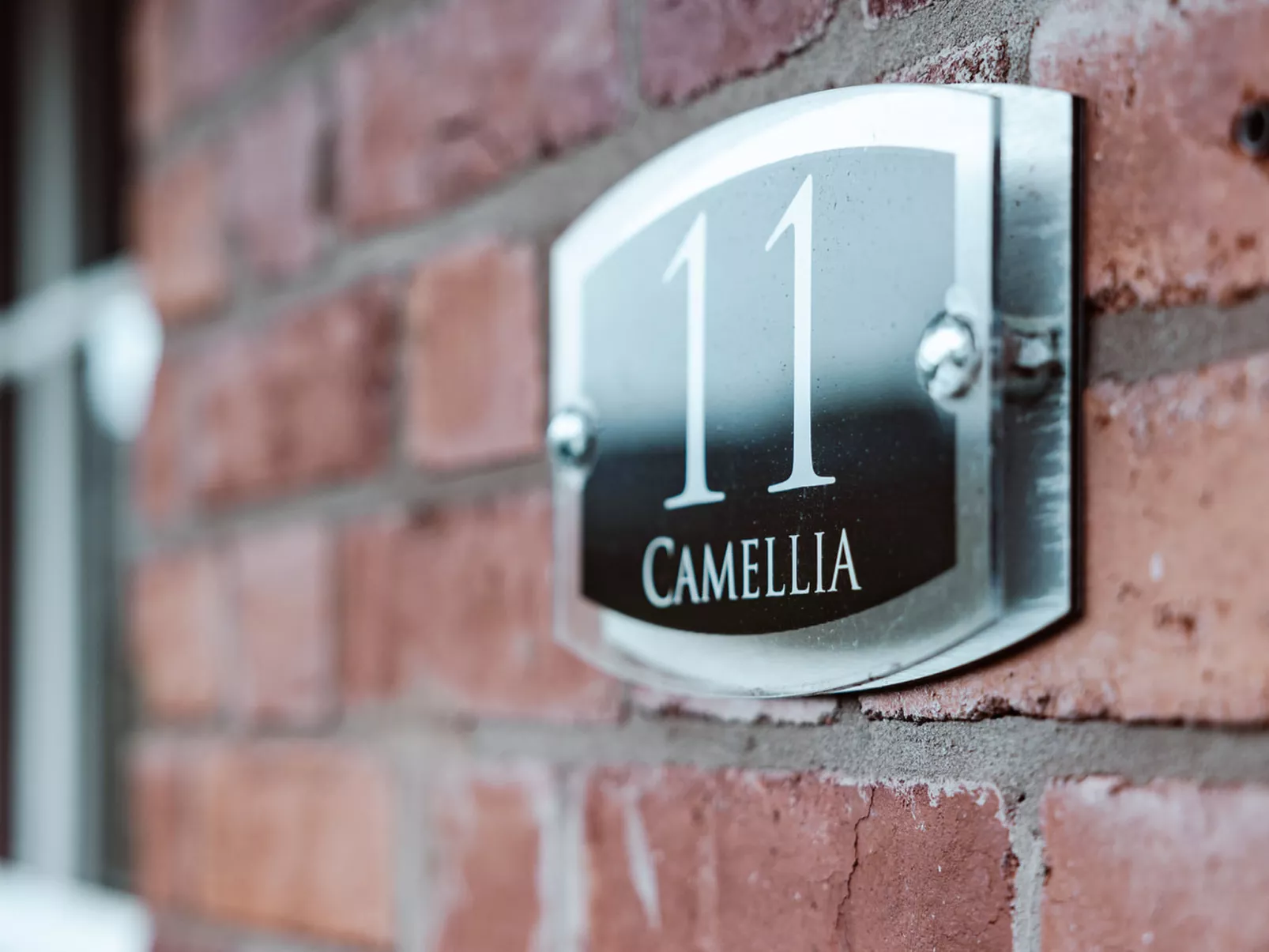 Netley Hall - Camelia