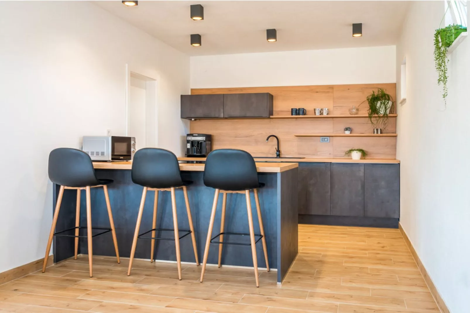 Villa Tomić Drniš - Siverić