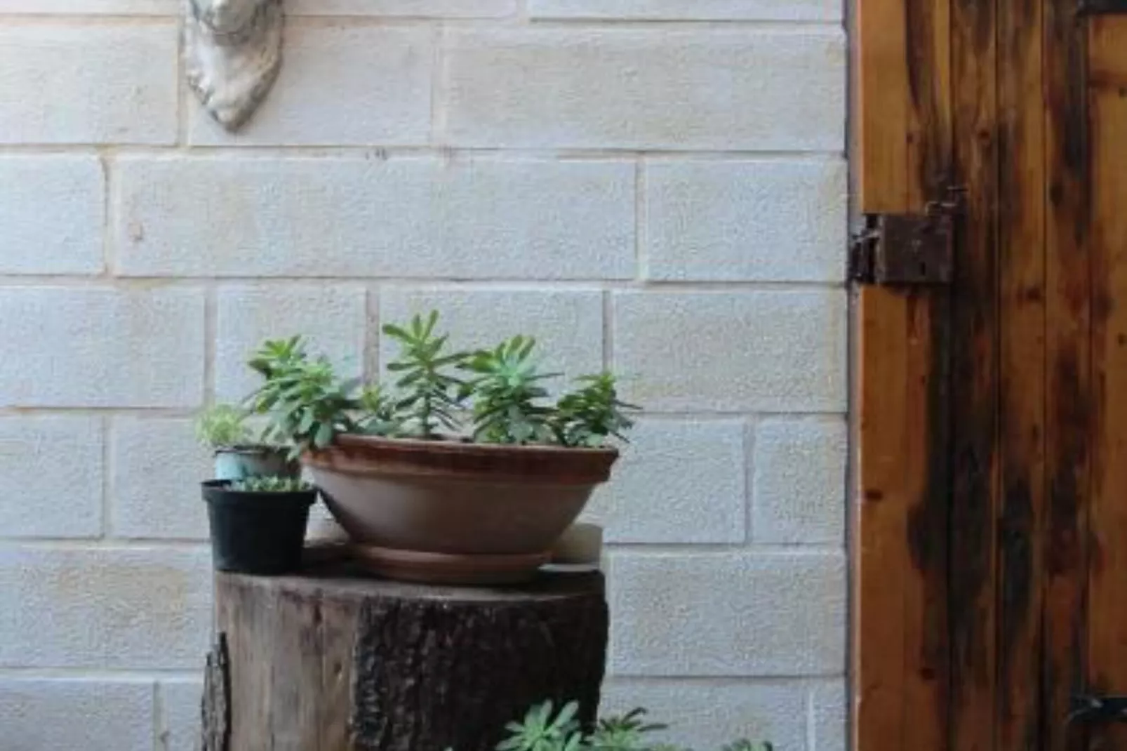 Quaint & Affordable Stay in Budva Traditional Stone House - Double Room 1