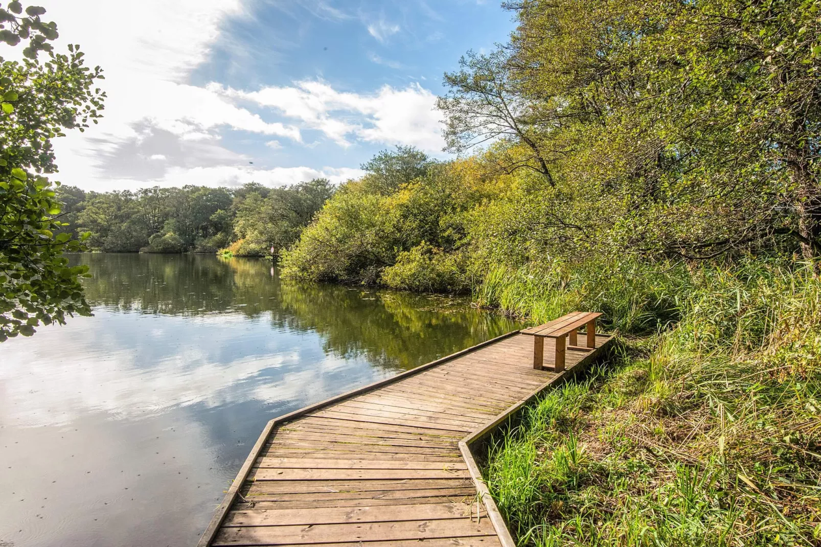 4 sterren vakantie huis in Ry