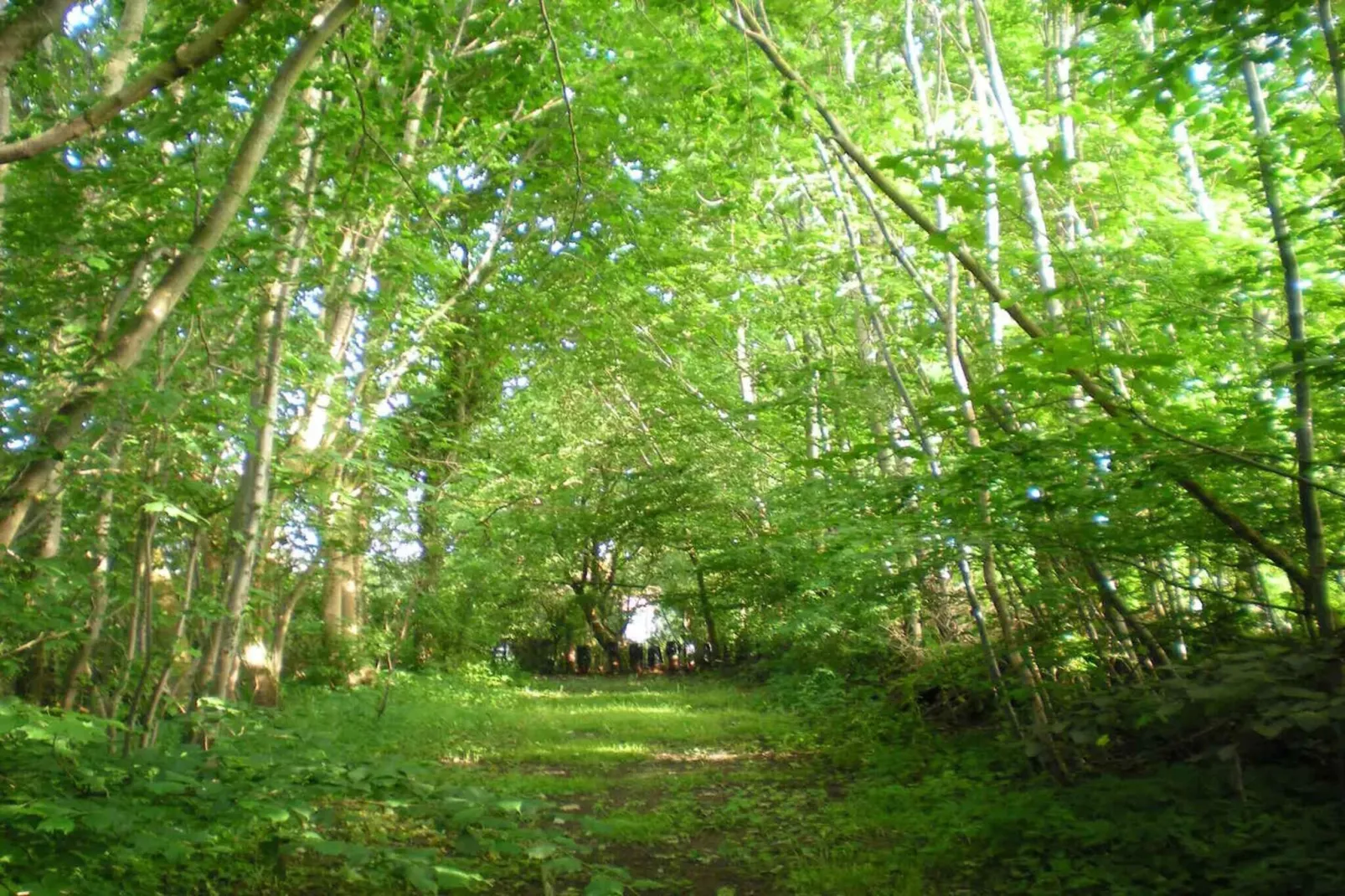 5 sterren vakantie huis in Give