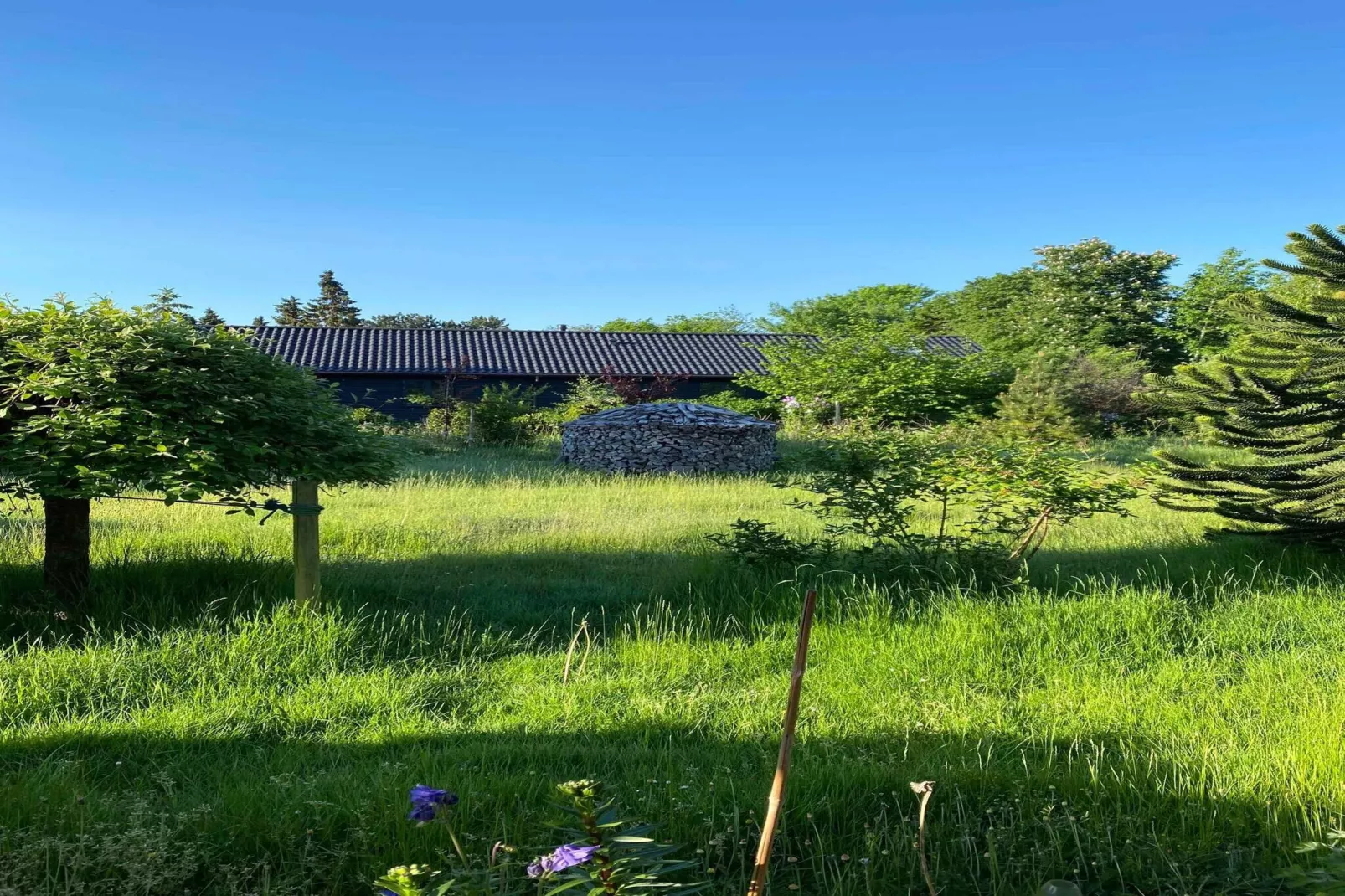 5 sterren vakantie huis in Hundested