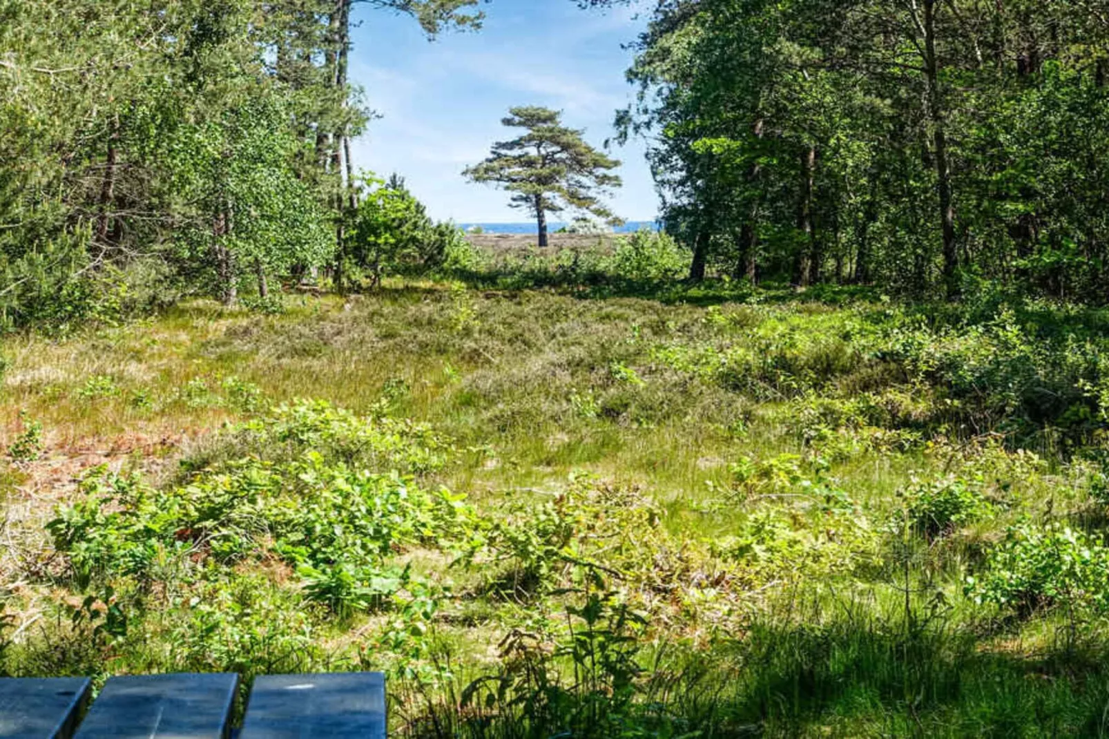 5 sterren vakantie huis in Nexø