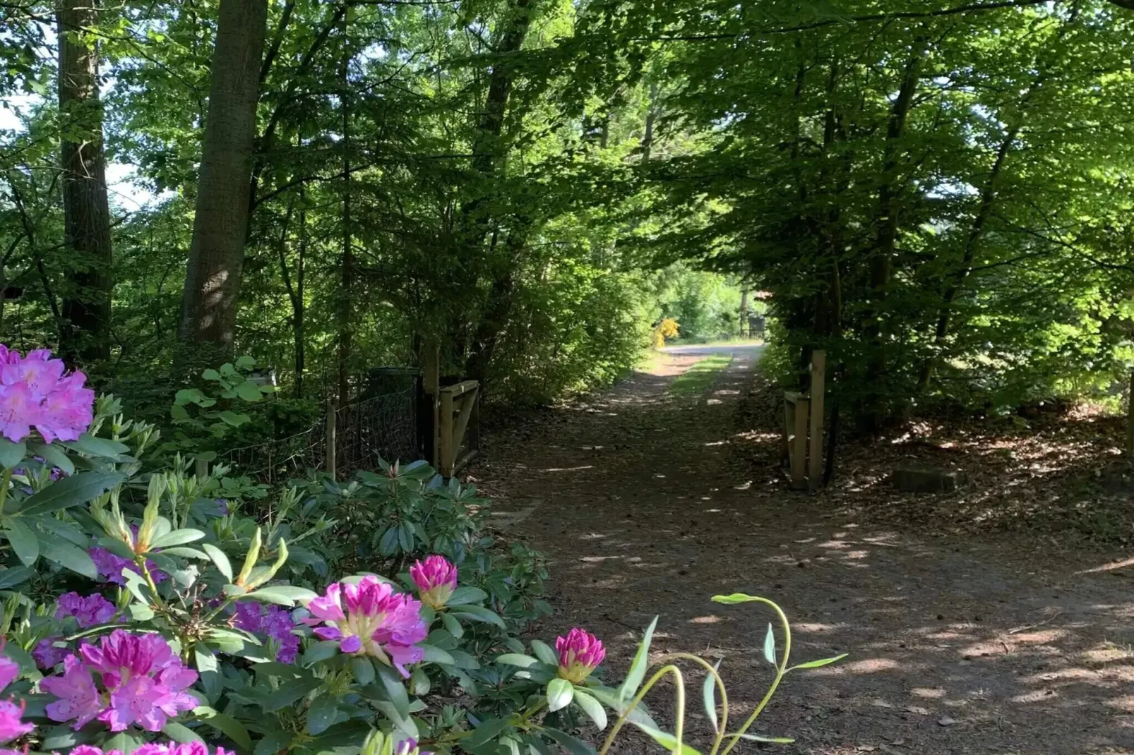 5 sterren vakantie huis in Hornbæk