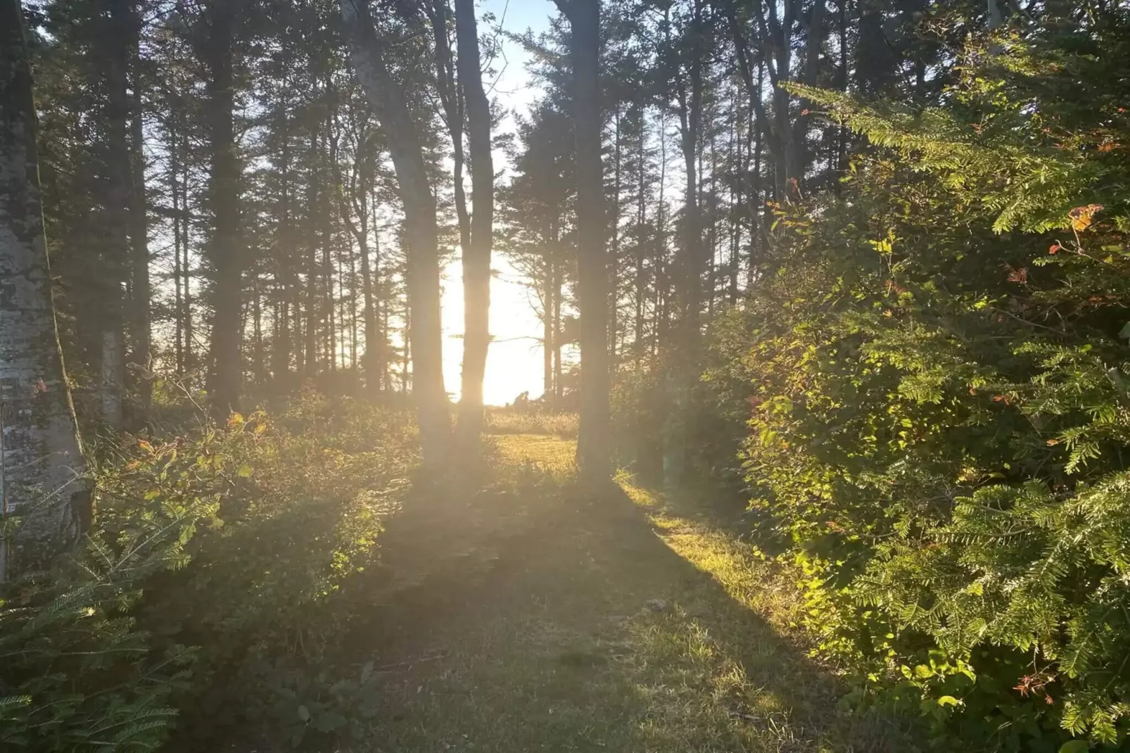 5 sterren vakantie huis in Spøttrup