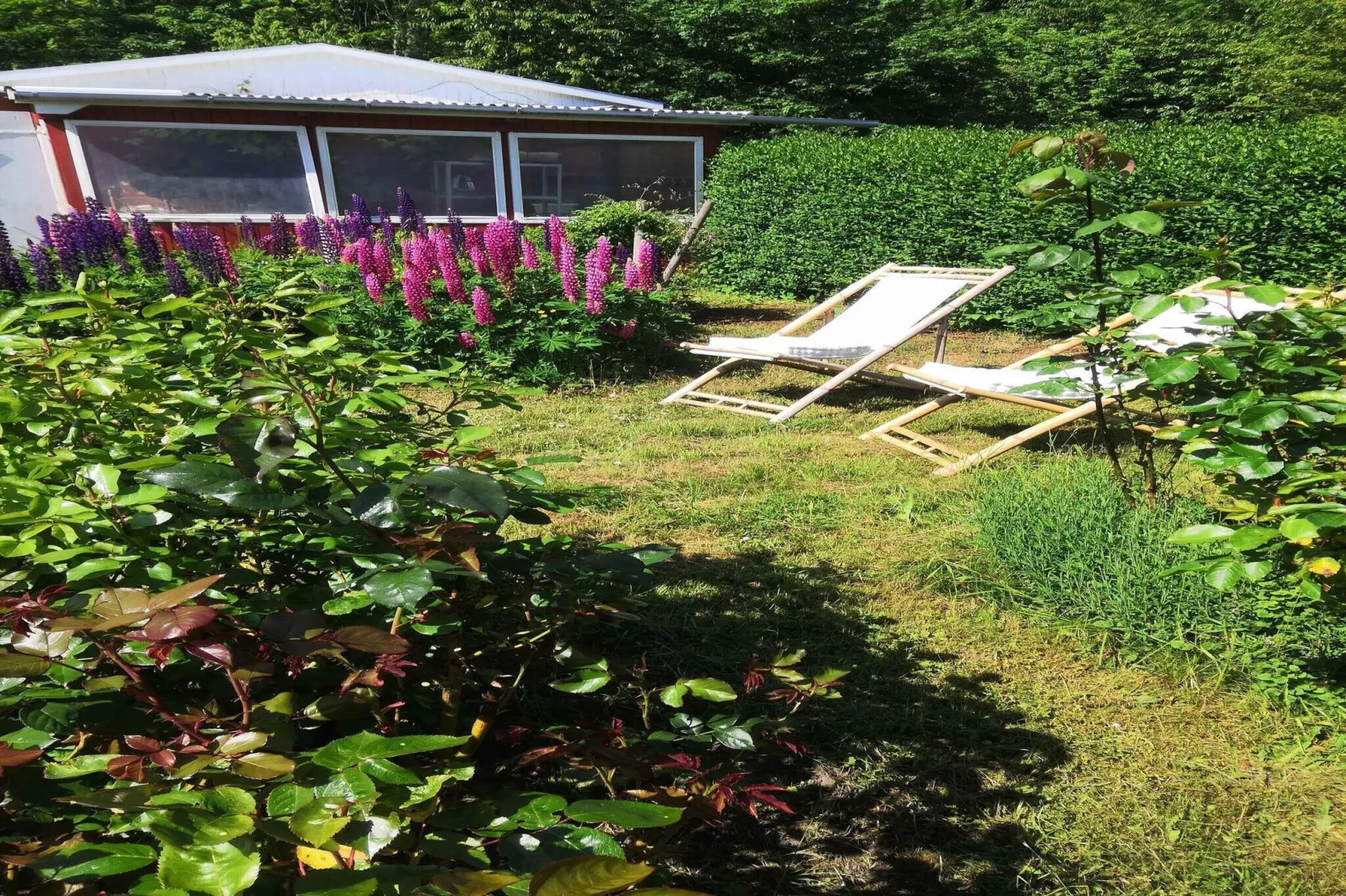 5 sterren vakantie huis in Svaneke