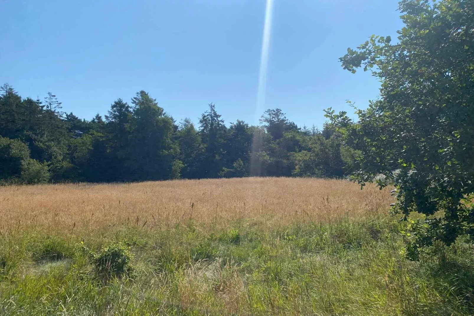 4 sterren vakantie huis in Hadsund