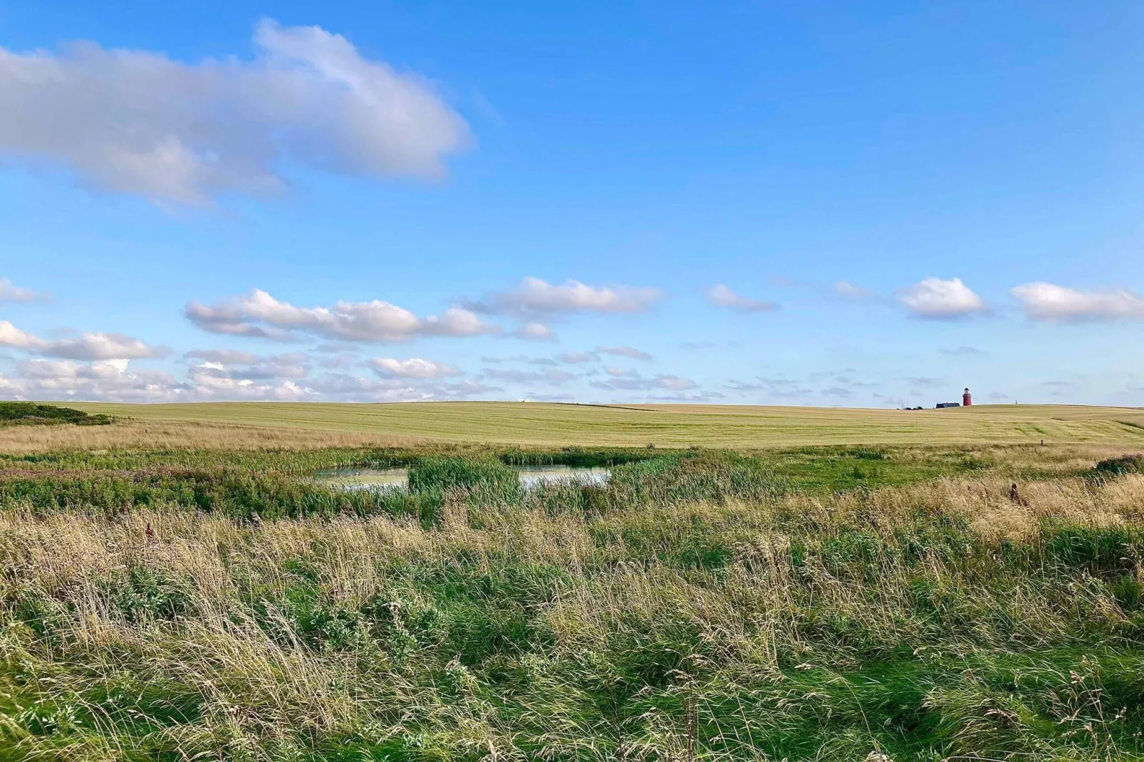 5 sterren vakantie huis in Lemvig