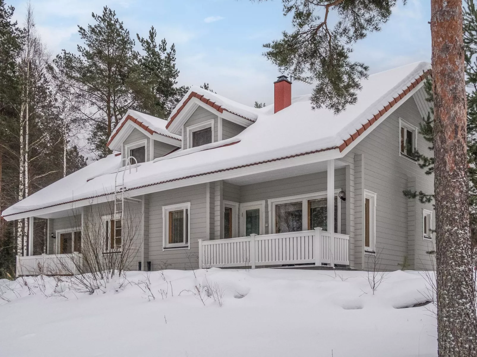 Vuokatti villas susi